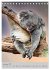 Koala, kleiner Bär (Tischkalender 2025... - Bild 5