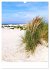 Borkum Strandspaziergang (Wandkalender... - Bild 13