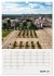 Potsdam in Farbe (Wandkalender 2025 DIN... - Bild 10