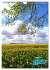 Stille der Natur (Wandkalender 2025 DIN... - Bild 10