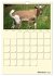Zwergziegen (Wandkalender 2025 DIN A4... - Bild 3