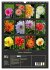 Dahlien - Blütenträume (Wandkalender... - Bild 6