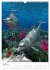 Fantasievolle Meerestiere (Wandkalender... - Bild 12