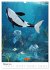 Fantasievolle Meerestiere (Wandkalender... - Bild 8