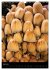 Pilze (Wandkalender 2025 DIN A3 hoch),... - Bild 12