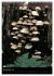 Pilze (Wandkalender 2025 DIN A3 hoch),... - Bild 4
