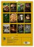 Pilze (Wandkalender 2025 DIN A3 hoch),... - Bild 6