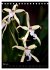 Faszination Orchideen (Tischkalender... - Bild 11