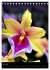 Faszination Orchideen (Tischkalender... - Bild 13