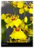 Faszination Orchideen (Tischkalender... - Bild 3