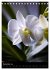 Faszination Orchideen (Tischkalender... - Bild 5