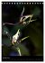 Faszination Orchideen (Tischkalender... - Bild 7