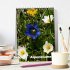 Alpenblumen (Tischkalender 2025 DIN A5... - Bild 2