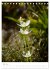 Alpenblumen (Tischkalender 2025 DIN A5... - Bild 11