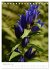 Alpenblumen (Tischkalender 2025 DIN A5... - Bild 15