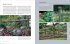 Fences for Home and Garden - Bild 3
