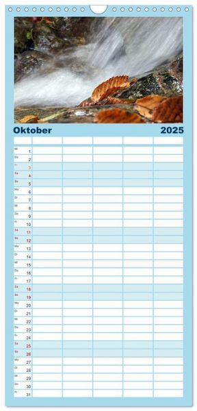 Familienplaner 2025 - AQUA 2025 mit 5 Spalten (Wandkalender, 21 x 45 cm) CALVENDO von Calvendo 