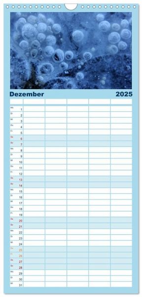 Familienplaner 2025 - AQUA 2025 mit 5 Spalten (Wandkalender, 21 x 45 cm) CALVENDO von Calvendo 