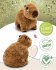 NICI 61223 - Capybara Capy-Barbara,... - Bild 7