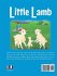 Little Lamb - Bild 2