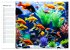 Aquarienzauber - Bunte KI... - Bild 7