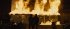 The Bikeriders - Bild 6