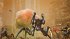 Starship Troopers Extermination... - Bild 9
