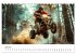 Quad Erlebnisse (Tischkalender 2025 DIN... - Bild 12
