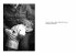 Markus Vater - Objects of Significance - Bild 2