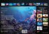 Sealife - verborgene Tiefen - 2025 -... - Bild 14