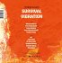 Survival Vibration - Bild 2