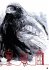 Der Rabe / The Raven - Bild 4