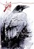 Der Rabe / The Raven - Bild 5