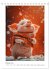 Schwein gehabt (Tischkalender 2025 DIN... - Bild 8