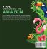 A To Z Creatures Of The Amazon - Bild 2