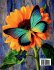 Butterfly Coloring Book for Adults - Bild 2