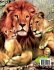 Lion Coloring Book for Kids - Bild 2
