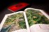 Assassin's Creed Shadows - Das... - Bild 13