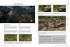 Assassin's Creed Shadows - Das... - Bild 3