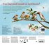 Was singt und summt im Apfelbaum? - Bild 7