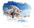 Winterwald   (Restauflage) - Bild 2