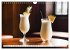 Dein Monat dein Cocktail (Wandkalender... - Bild 4