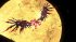 Sonic X Shadow Generations (Nintendo... - Bild 8