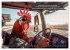 Tierisch lustige LKW-Fahrer... - Bild 13