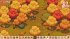 Orange Season (Nintendo Switch) - Bild 4