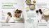 Just delicious - Clean Eating Express  ... - Bild 8