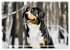 Entlebucher - Temperamentvolle... - Bild 6