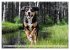 Entlebucher - Temperamentvolle... - Bild 8