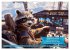 Funny charming animals as pilots (Wall... - Bild 4