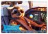 Funny charming animals as pilots (Wall... - Bild 8